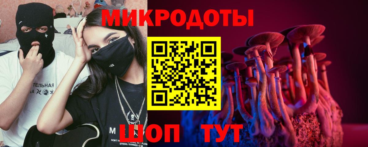 Галлюциногенные грибы Cubensis  Вход с VPN  Прохладный 